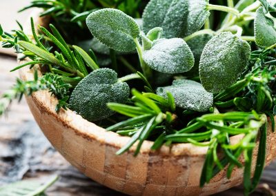 Vegetable & herb plants